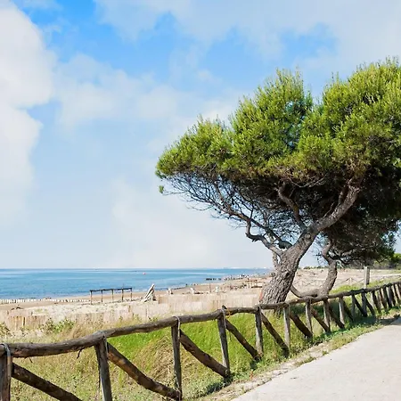 Bright Flat Close To The Sea *