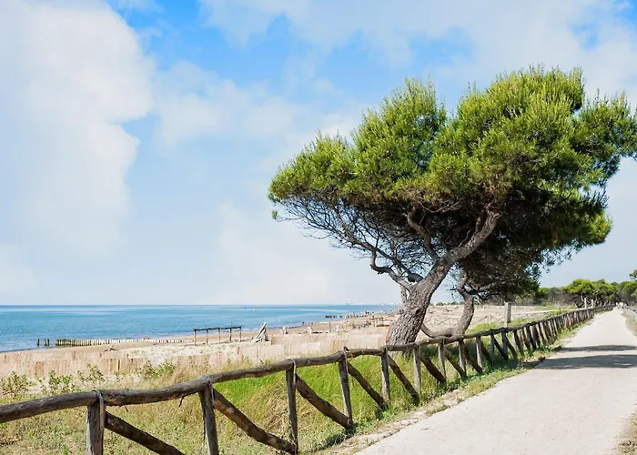 Bright Flat Close To The Sea *